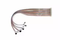 PTC064-4x16DIL Cable Assembly 